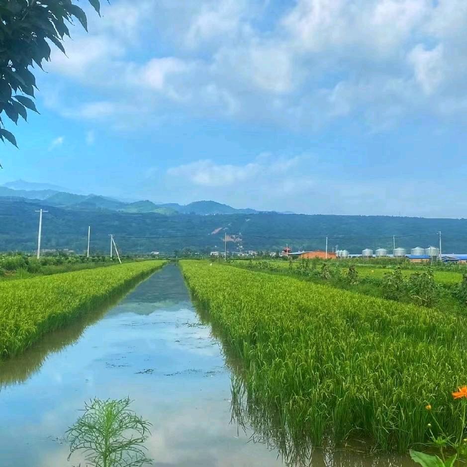 易林浅谈