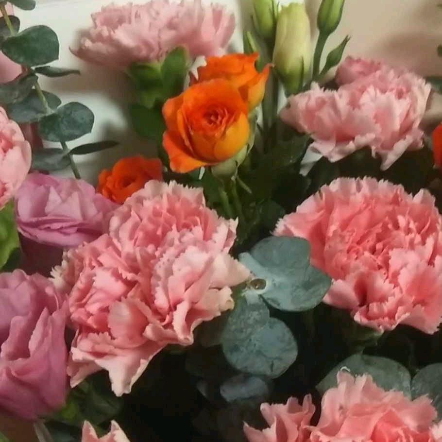 向阳花开