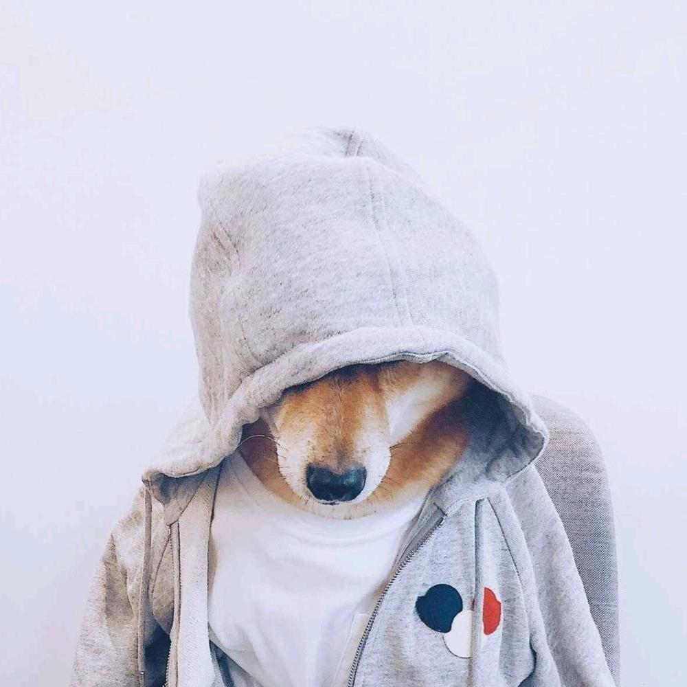 王楚之