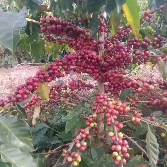 随心不随便