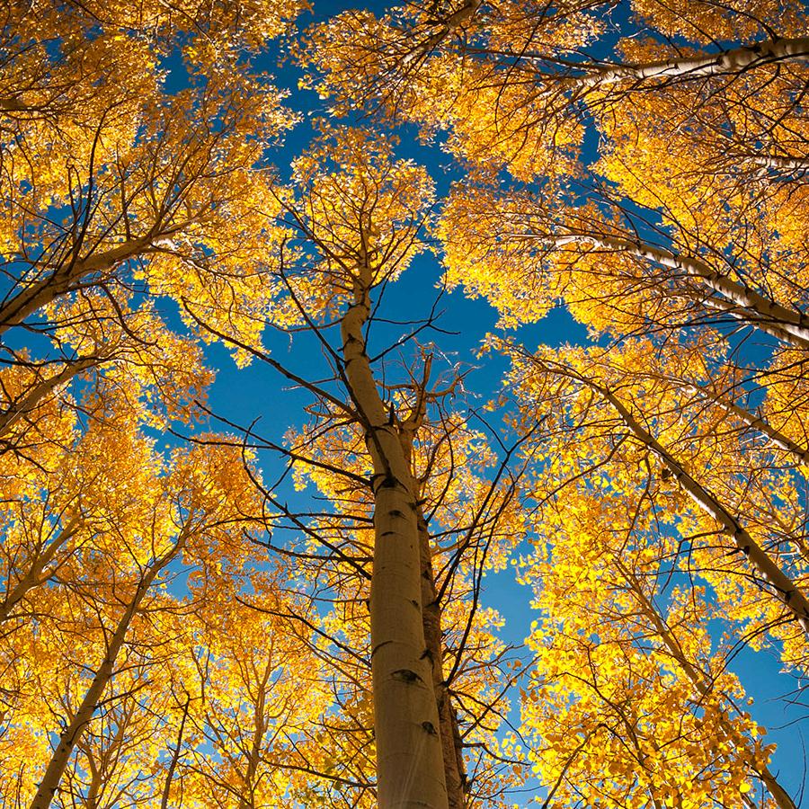 嘉吉盛门窗工厂—杨