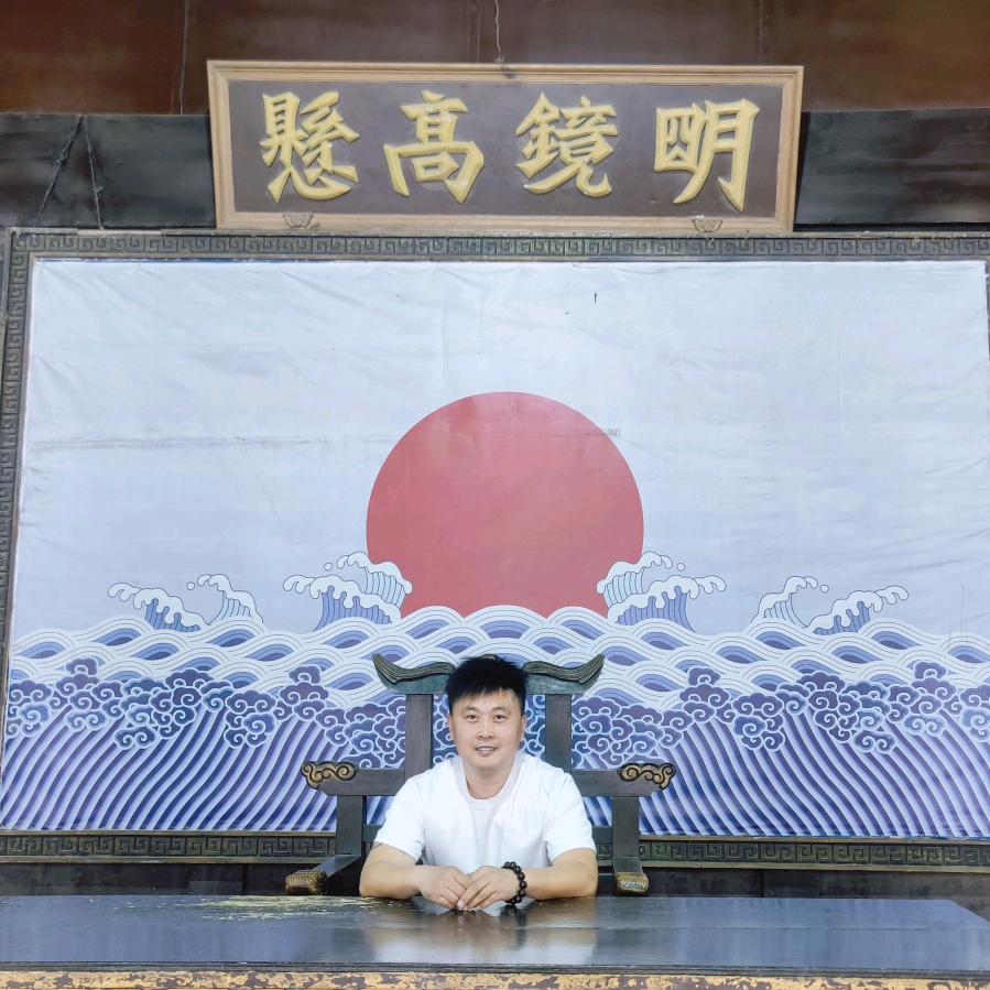 飞翔的鸟儿