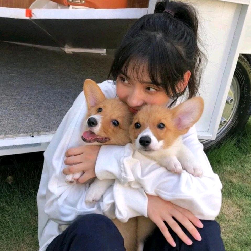 狐小跃