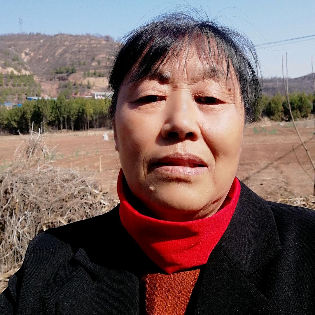 农村萍姐学习中