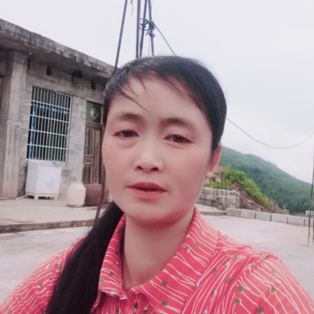 小杨妹妹