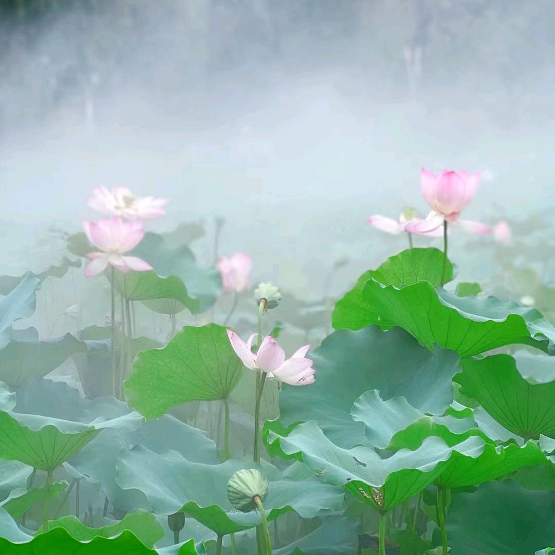 小雨🌾