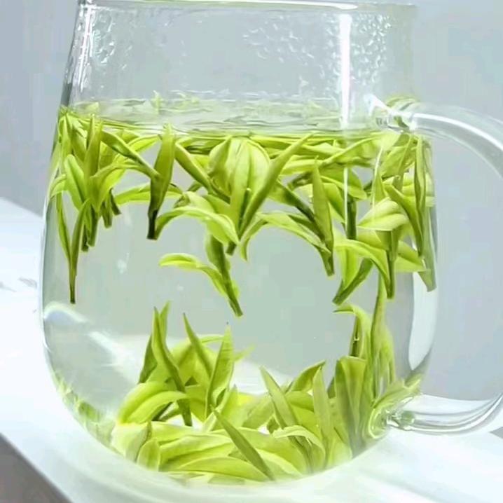 安吉白茶叶批发。代加工厂