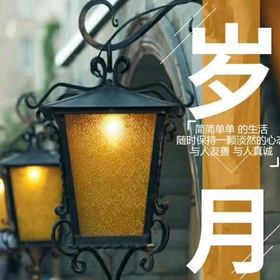 梅静若繁花