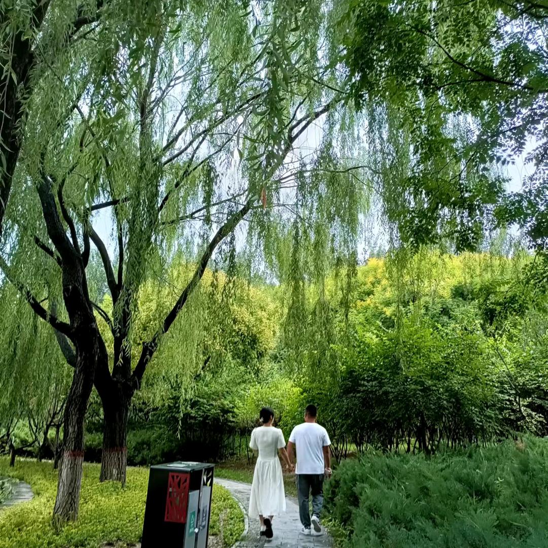 夏天🌻