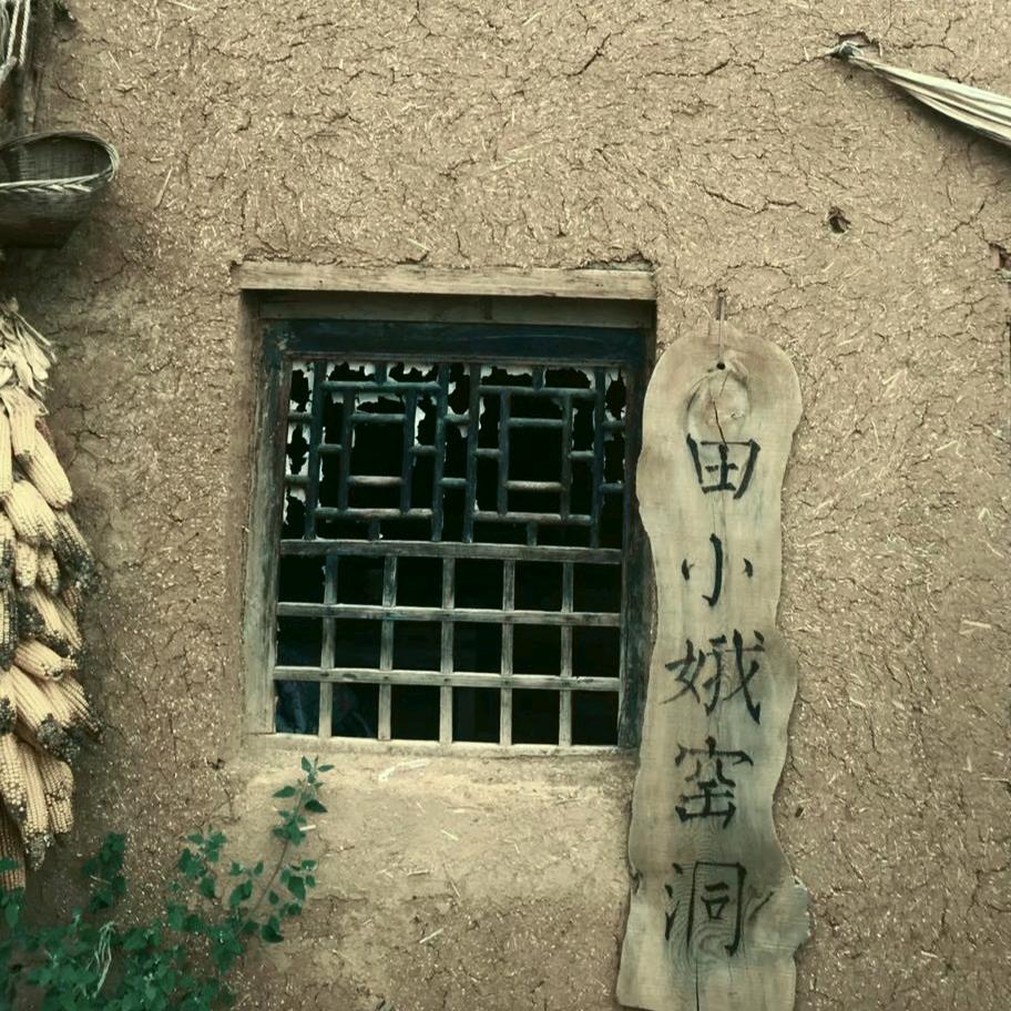 子非鱼