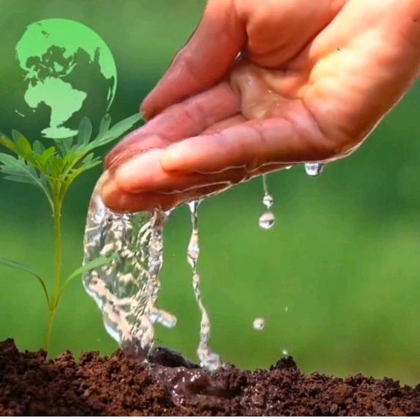 农技植保120-润丰年