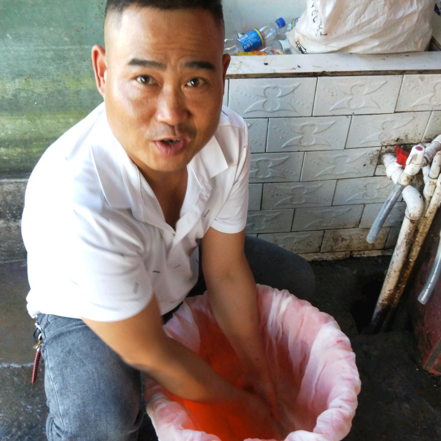老墨鱼馆陈大厨