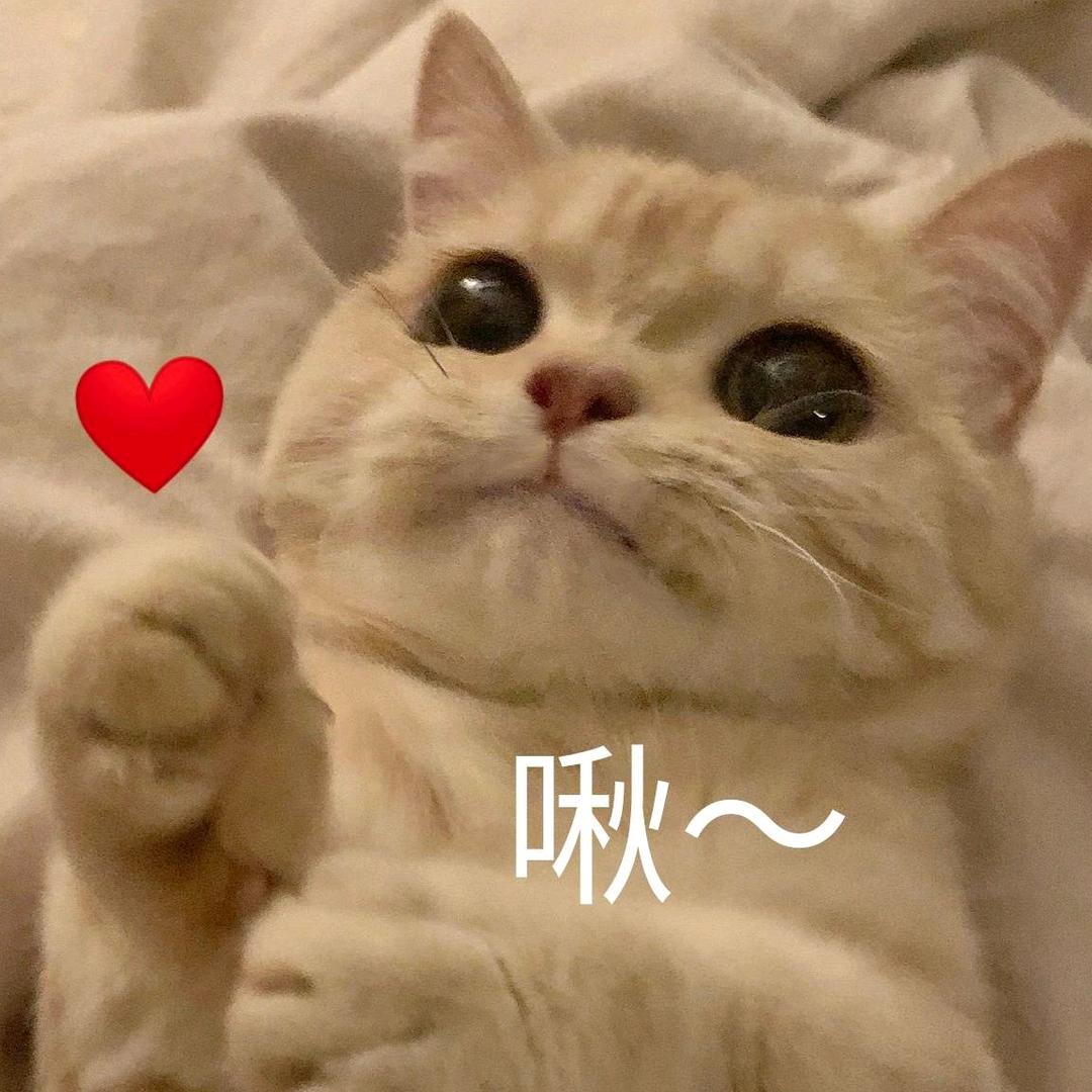 穆鱼鱼头像