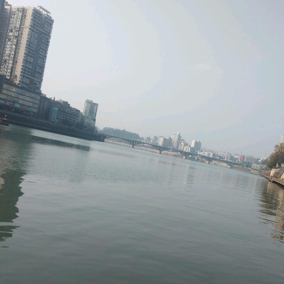 软酱酱