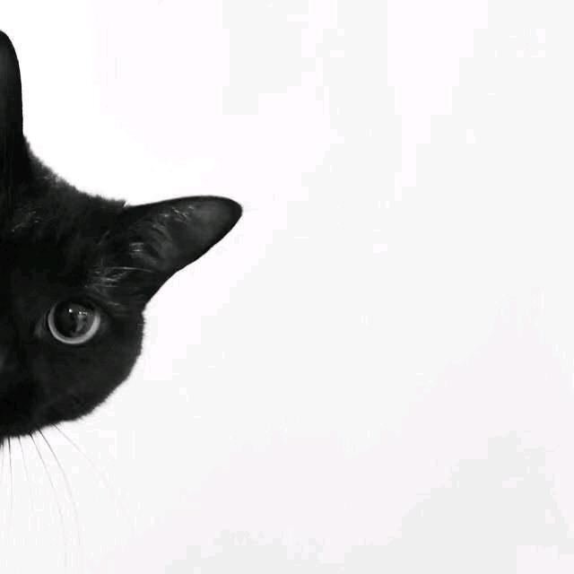 哥哥