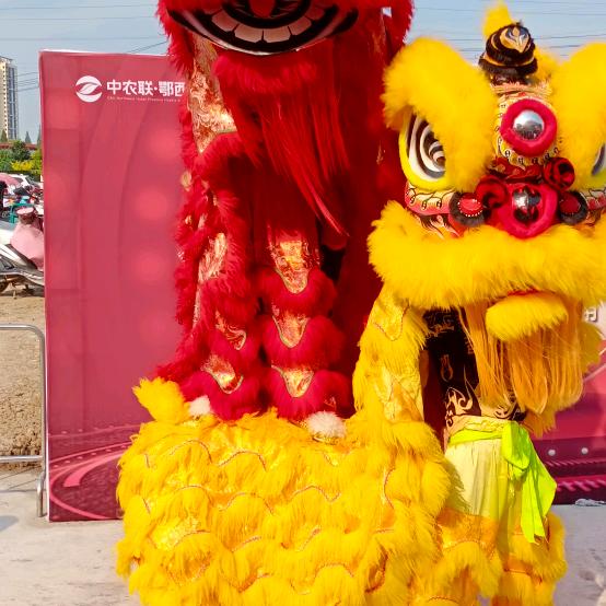 王付磊(专业花轿迎亲)