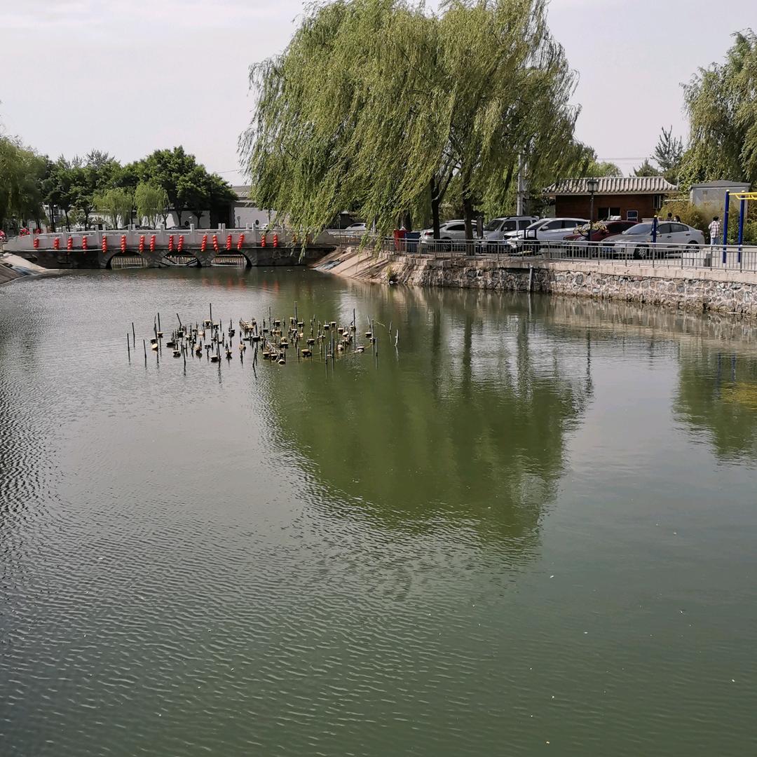 芳芳（勿连赞，连赞拉黑）