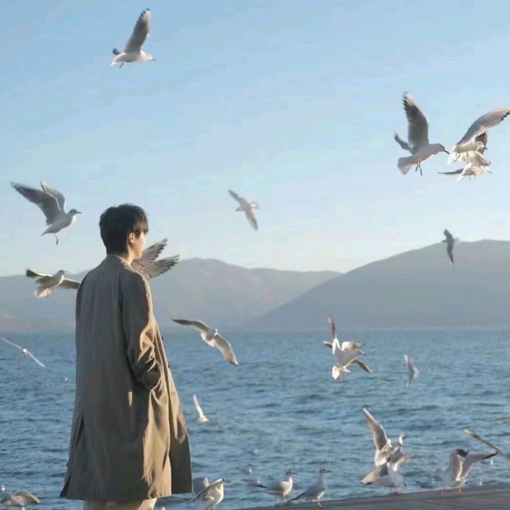 宁宁