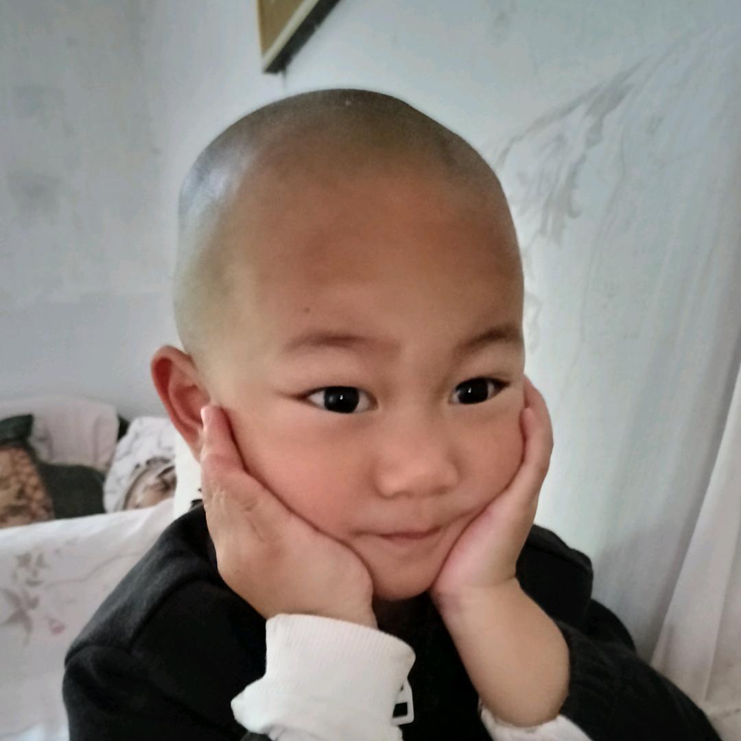 银河飞鹰