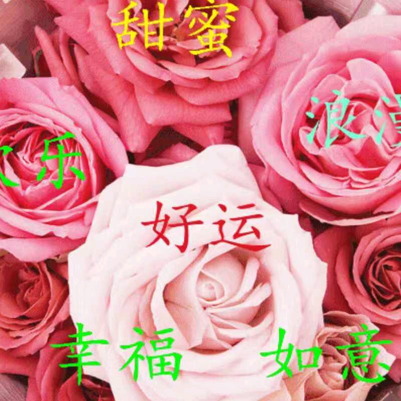 hiSP