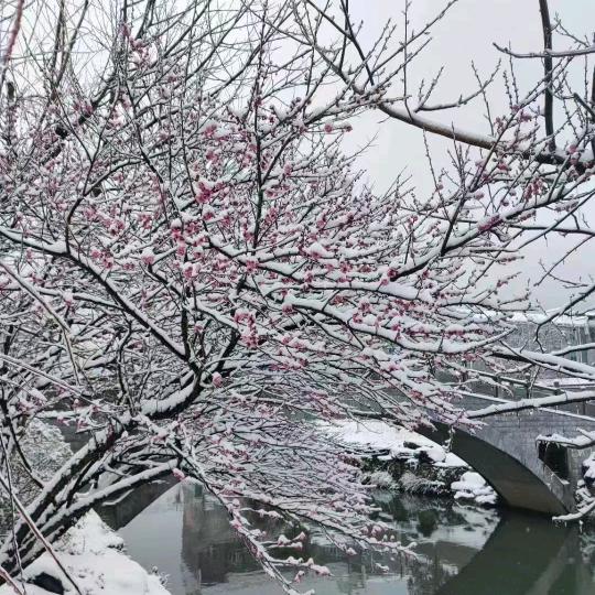 伏家农业