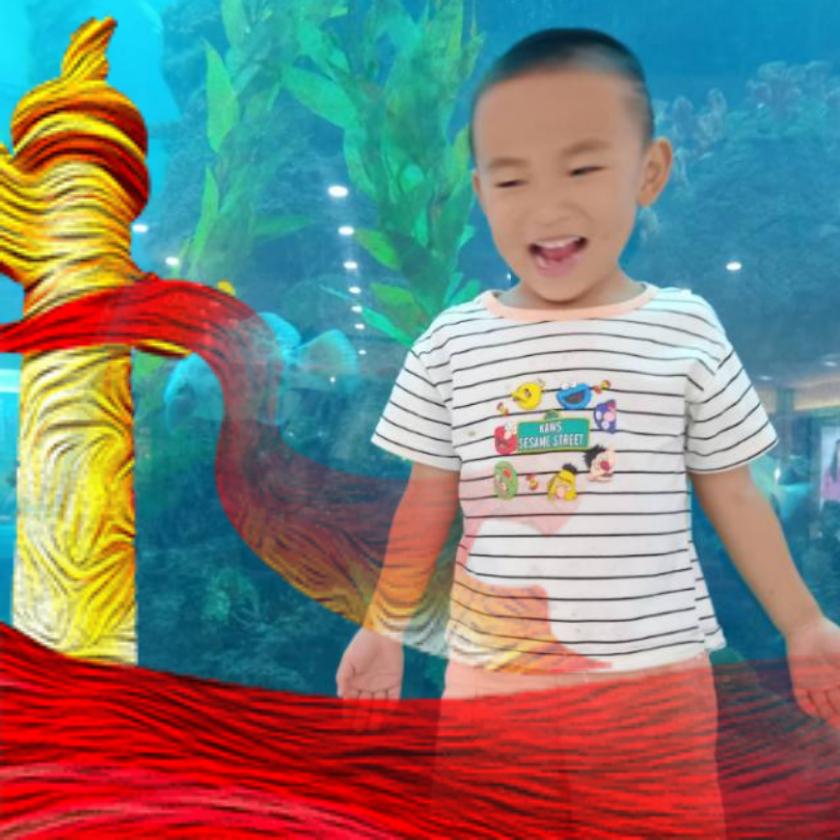 🕊꧔ꦿ᭄💞倪瞅啥耳听为许🦋꧔ꦿ᭄?