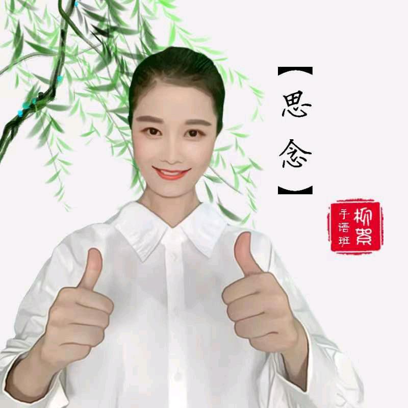 思念~柳絮❤手语