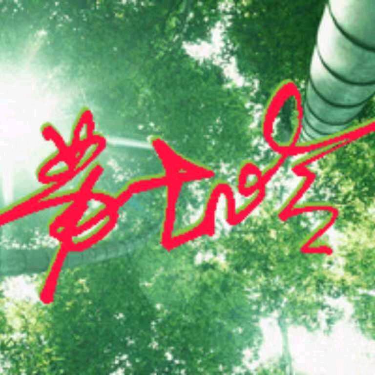 苏宇2010