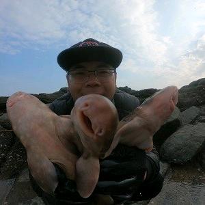 赶海阿狮