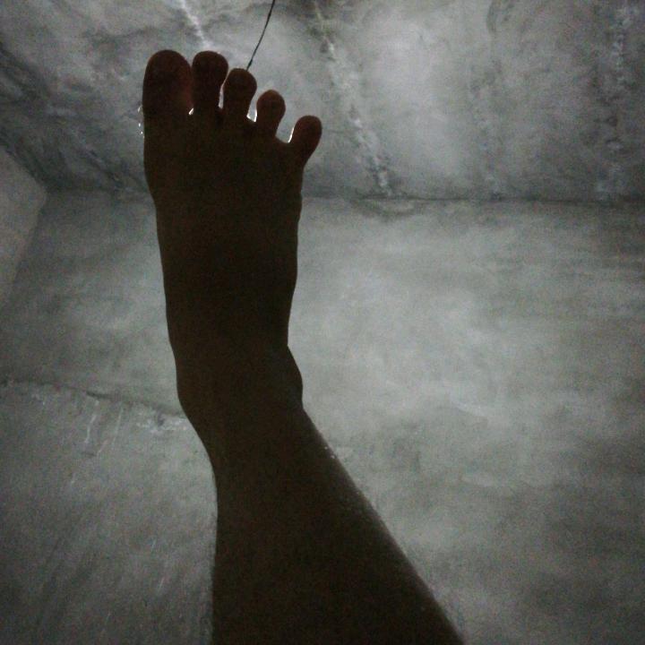 萝卜兔子