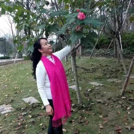 哓会