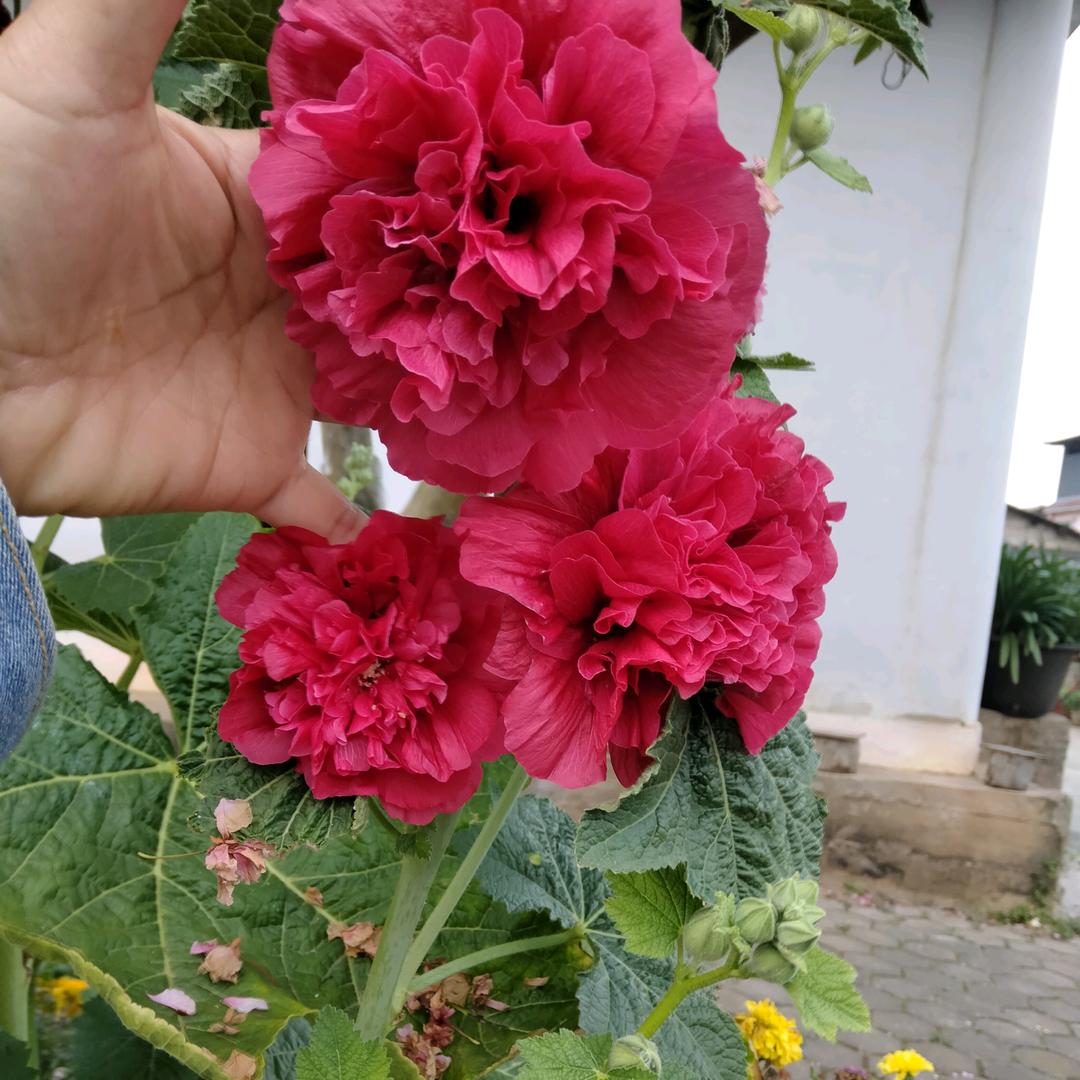 忘了年龄讨好自己