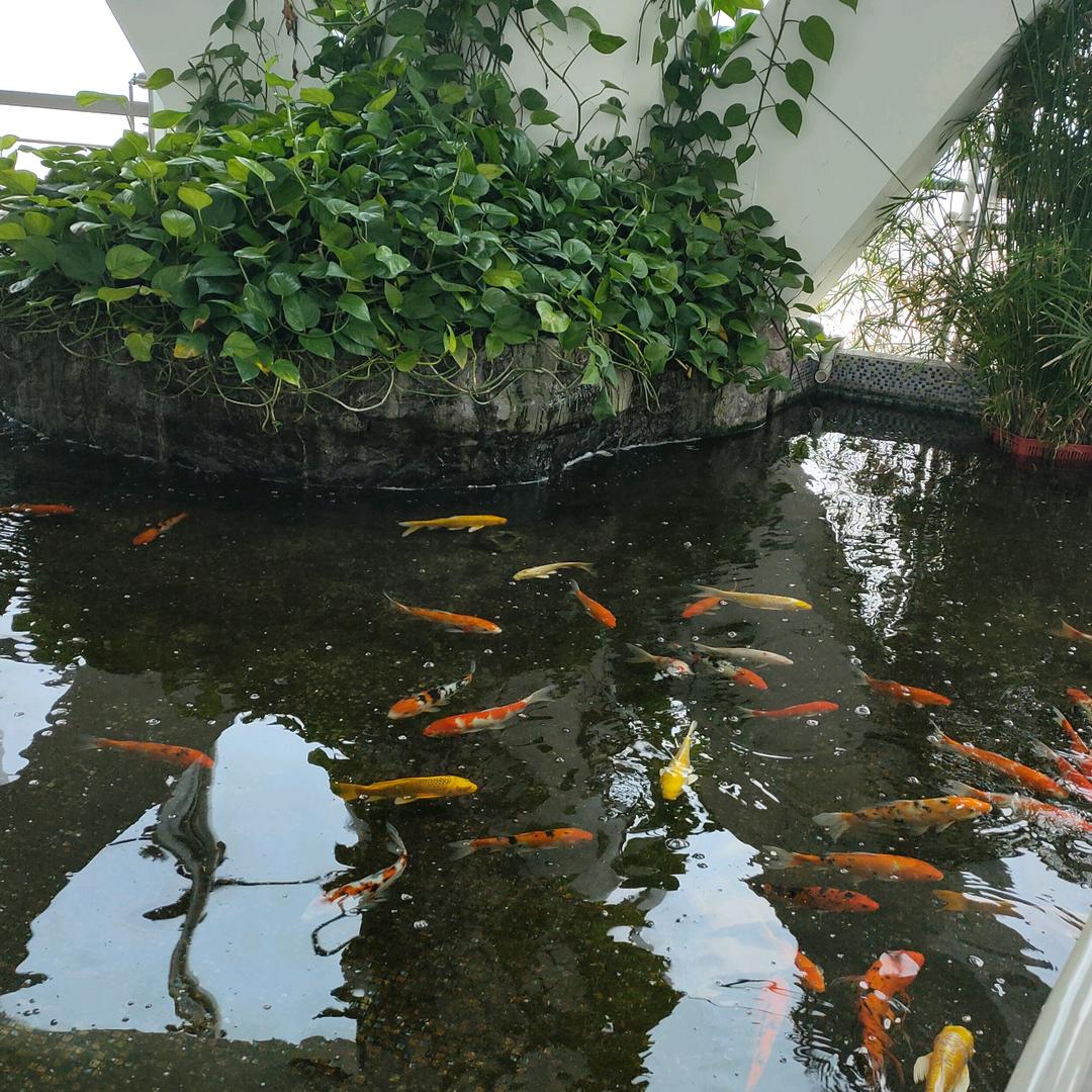 杰克博诺尼男装批发