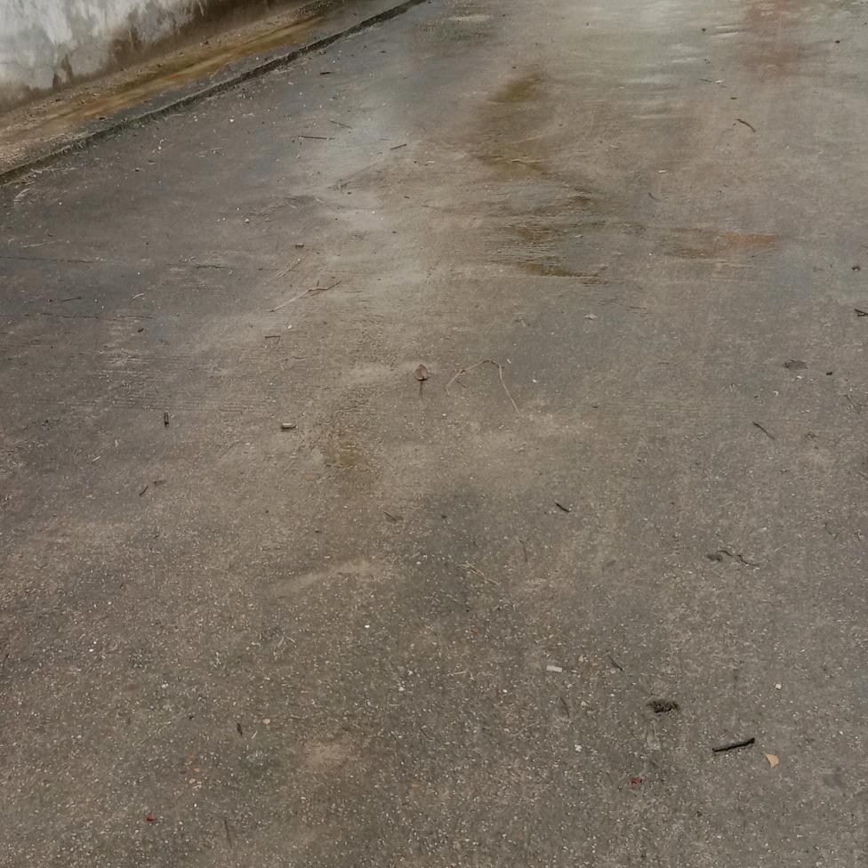 万紫千红