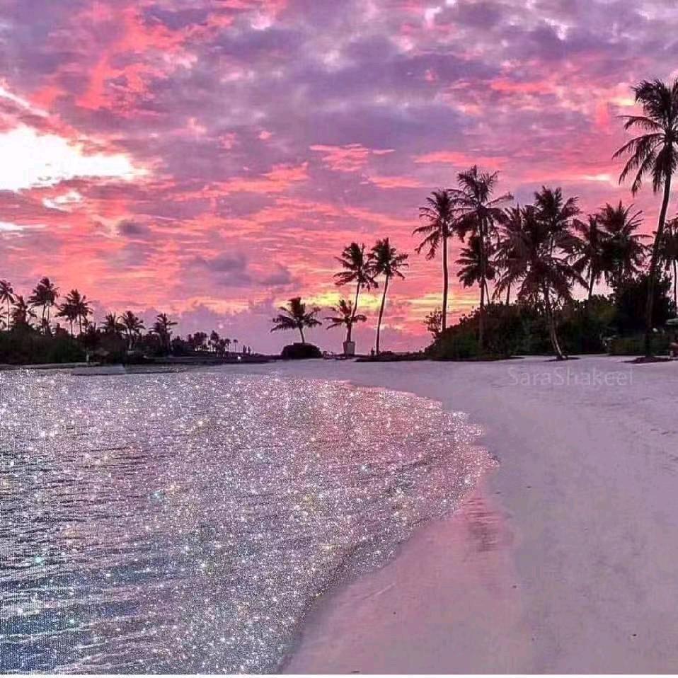 衡百国际五楼卡帕