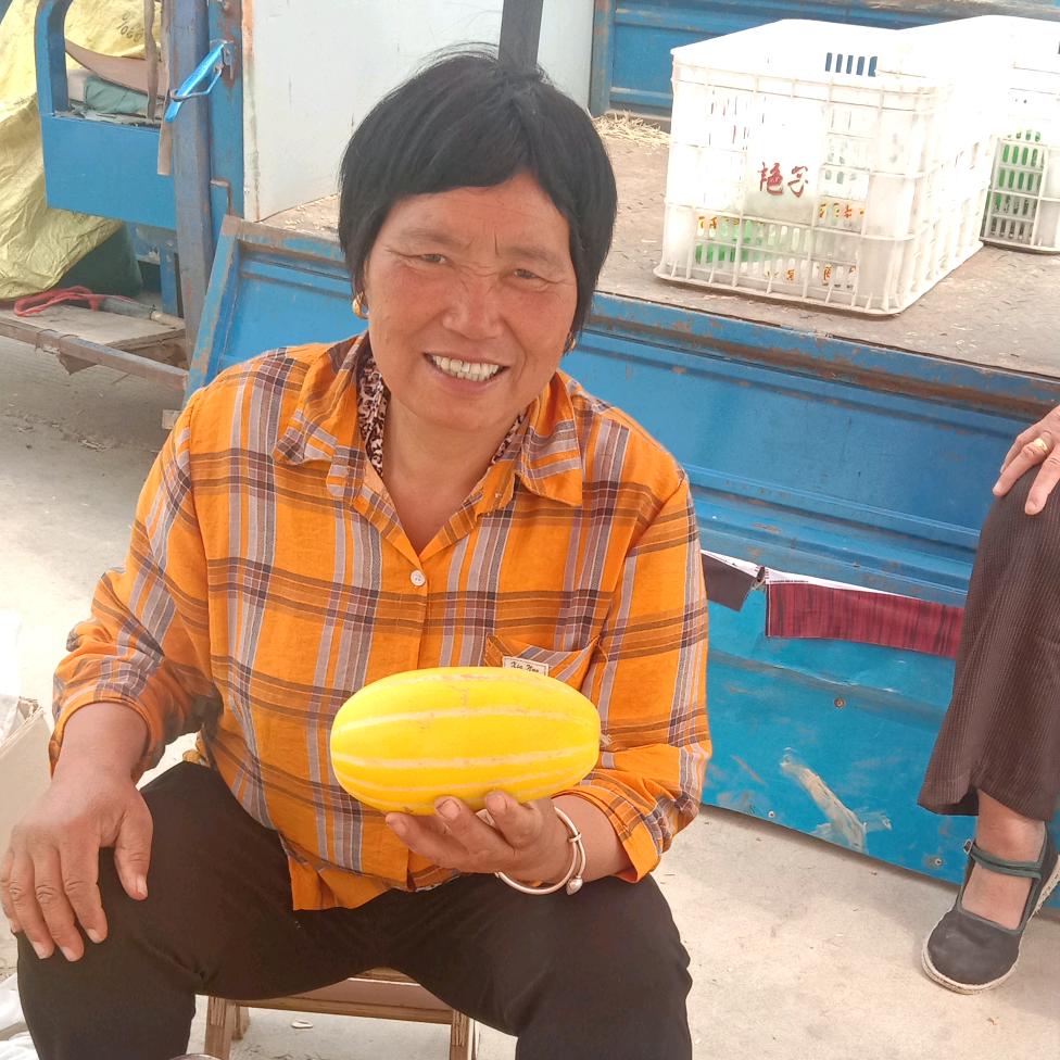 张大姐大媒婆