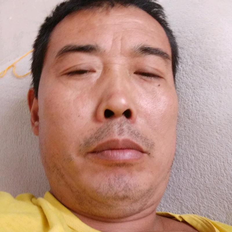 猕猴桃批发