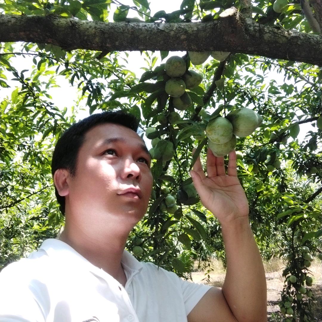 辉 辉