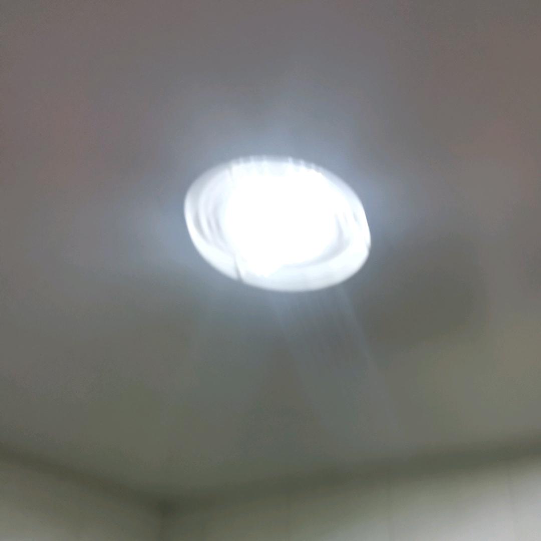 凤凤