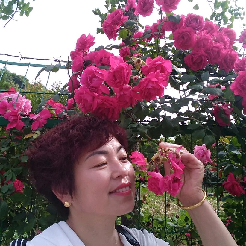 华福开心每一天
