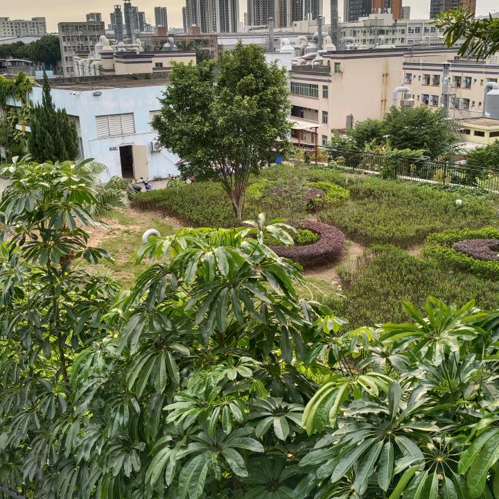 爱唱歌的阿明