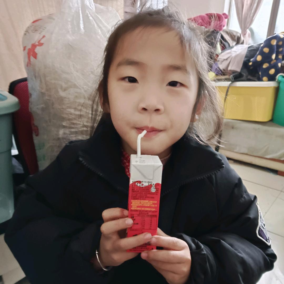 顺宏上海专线