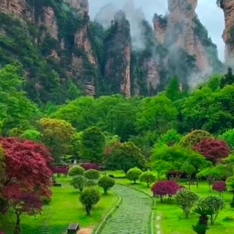 乡村的道路（看抖音号）