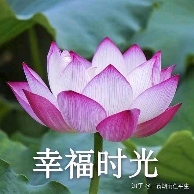 冬天的月亮
