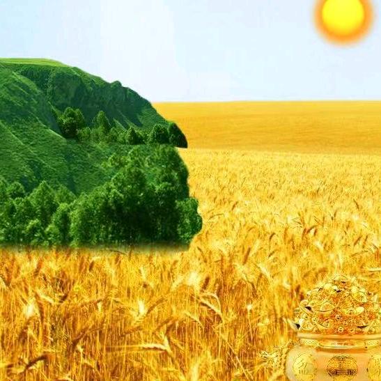 蒙城陈莉服饰店