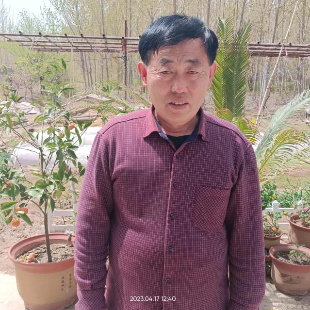 老兵爸爸
