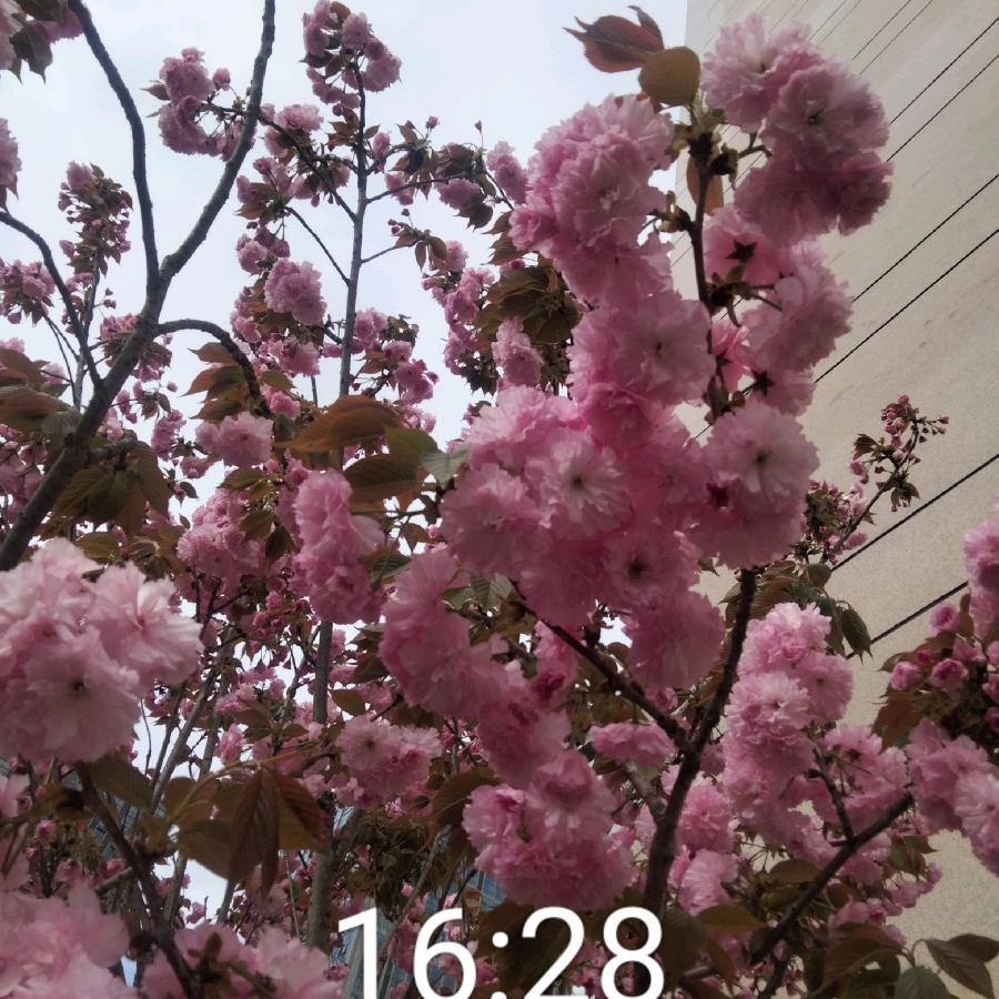 张仁荣