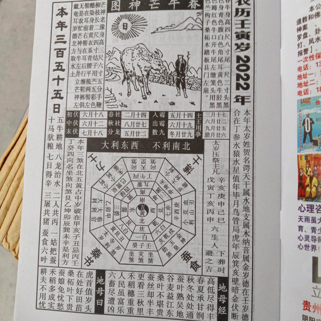 天地无霜