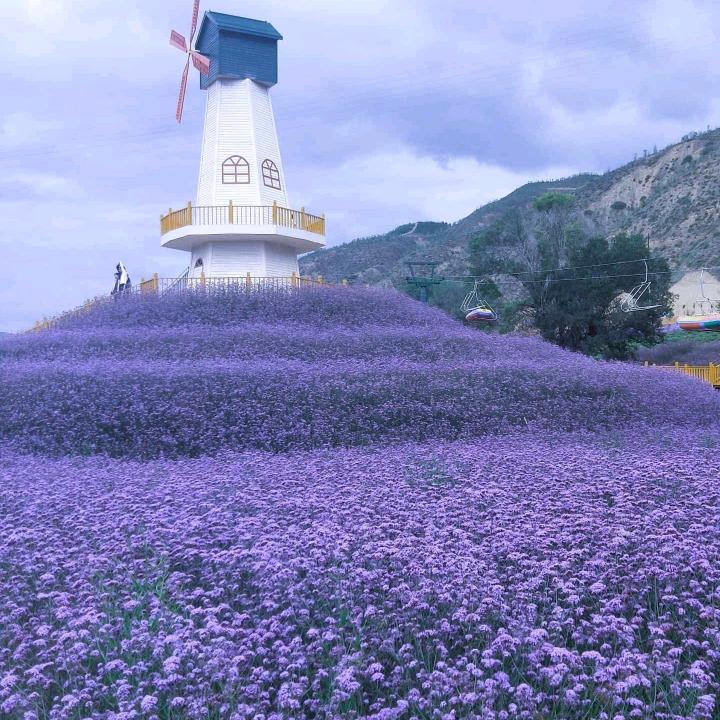 平凡人生6566