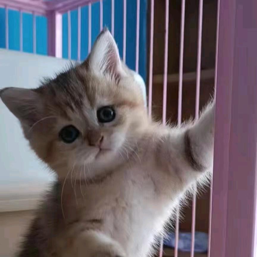 🌈🌈一眼误终身
